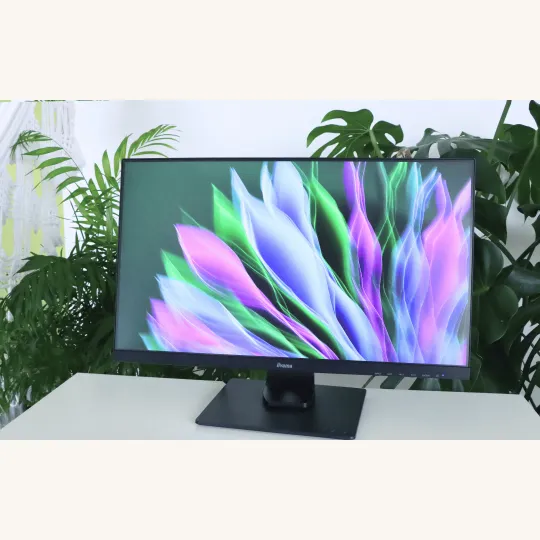 IIYama External Monitor 24" ProLite