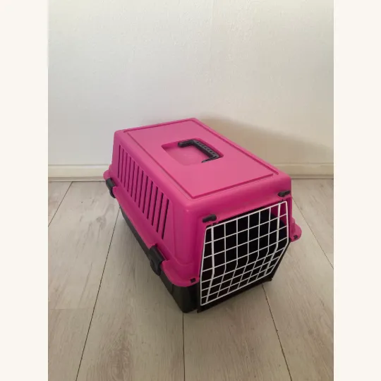 Reismand - kat of kleine hond